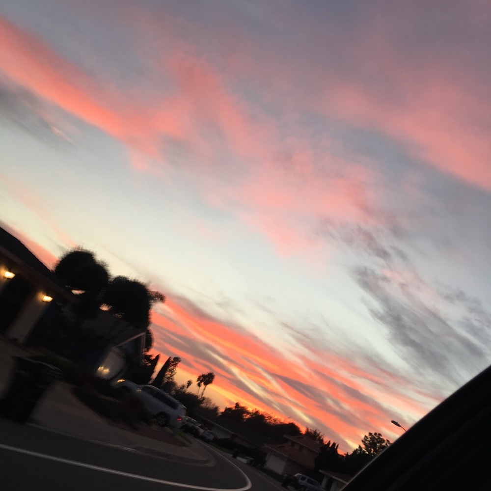 custom polaroid bundle!!